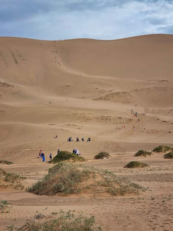 Wüste Gobi